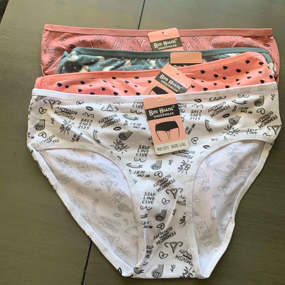 Brand new 4 pack of panties.